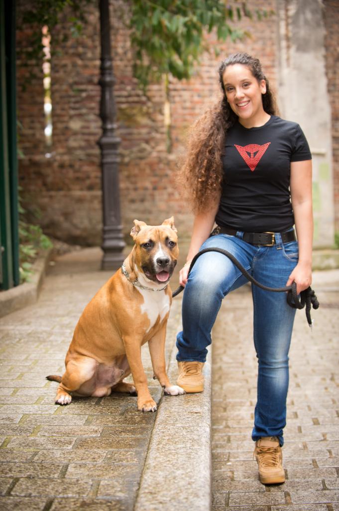 shooting animaux exterieur